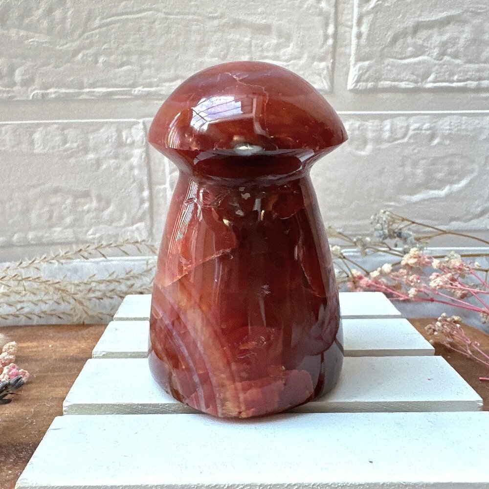 Gorgeous Carnelian Mushroom Carving